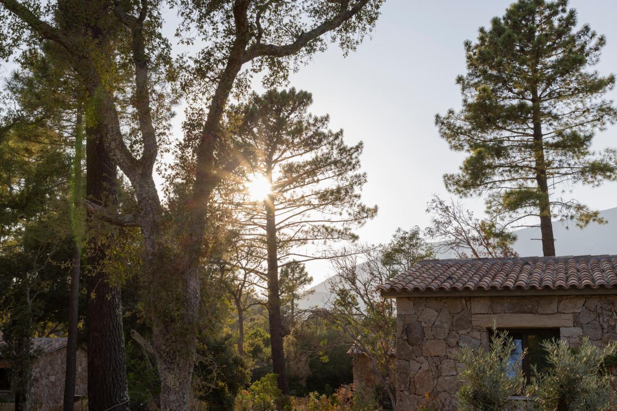 Hameau De Petripini Sotta Exterior foto